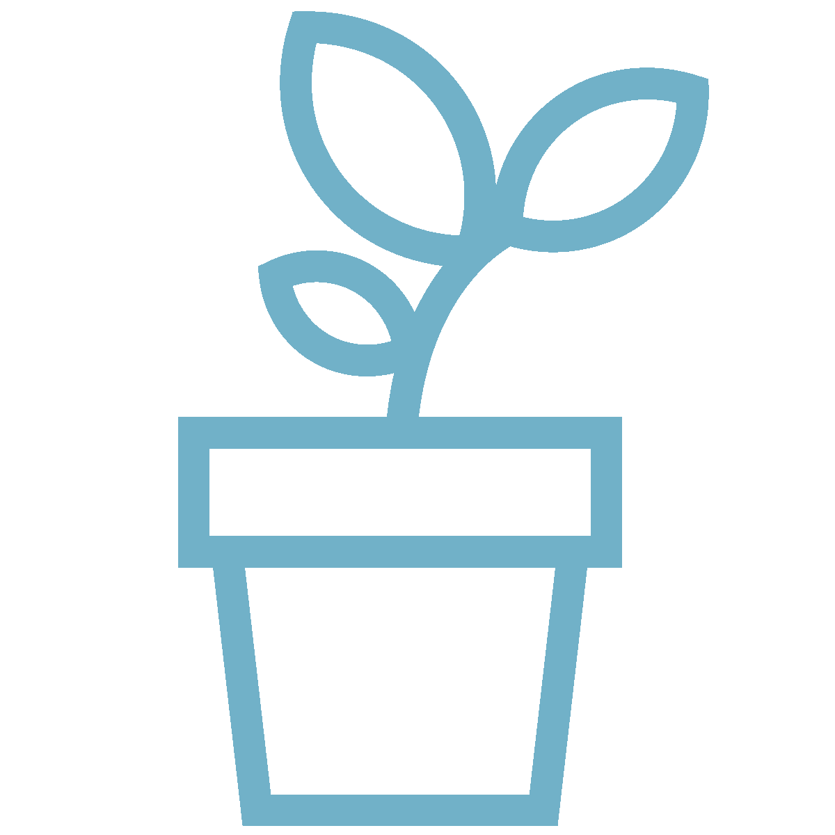 Plants